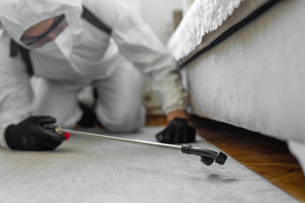 Professional Pest Control technician working in Bolindale, OH