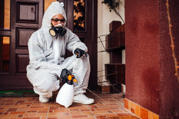 Reliable Fumigation Services contractor in Bolindale, OH by Nex Pest Control