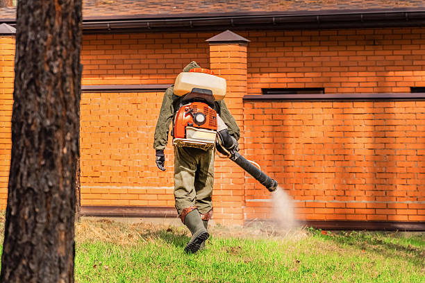 Trusted Fumigation Services service in Bolindale, OH - Nex Pest Control